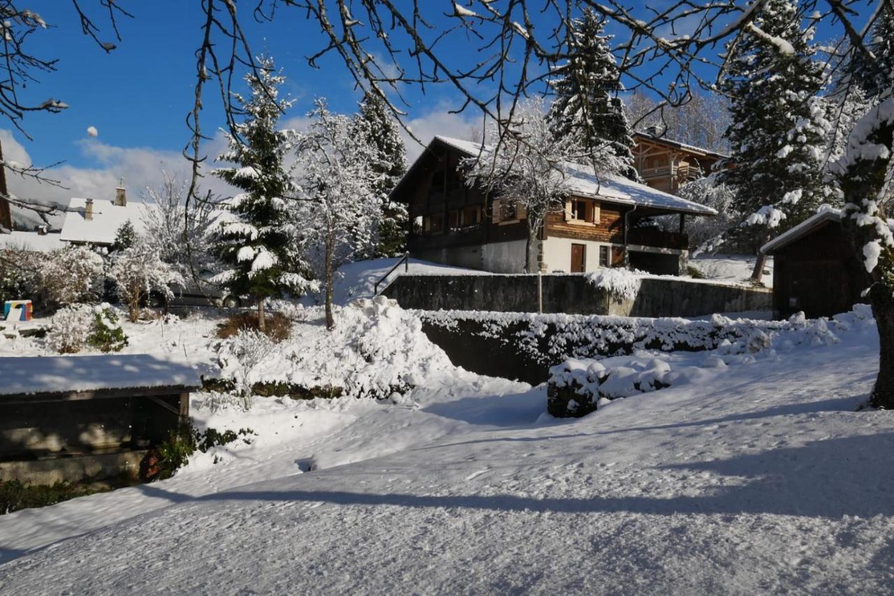 Sous Les Ecotagnes Villa Les Villards-sur-Thônes Eksteriør billede
